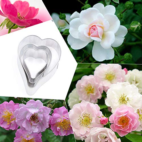 Premium Stainless Steel Rose Petal Biscuit & Cake Mold Set - 3-Piece Baking Tools for Cookies, Pastry Decorations - Perfect for Wedding Cakes, Cupcakes, and DIY Dessert Making