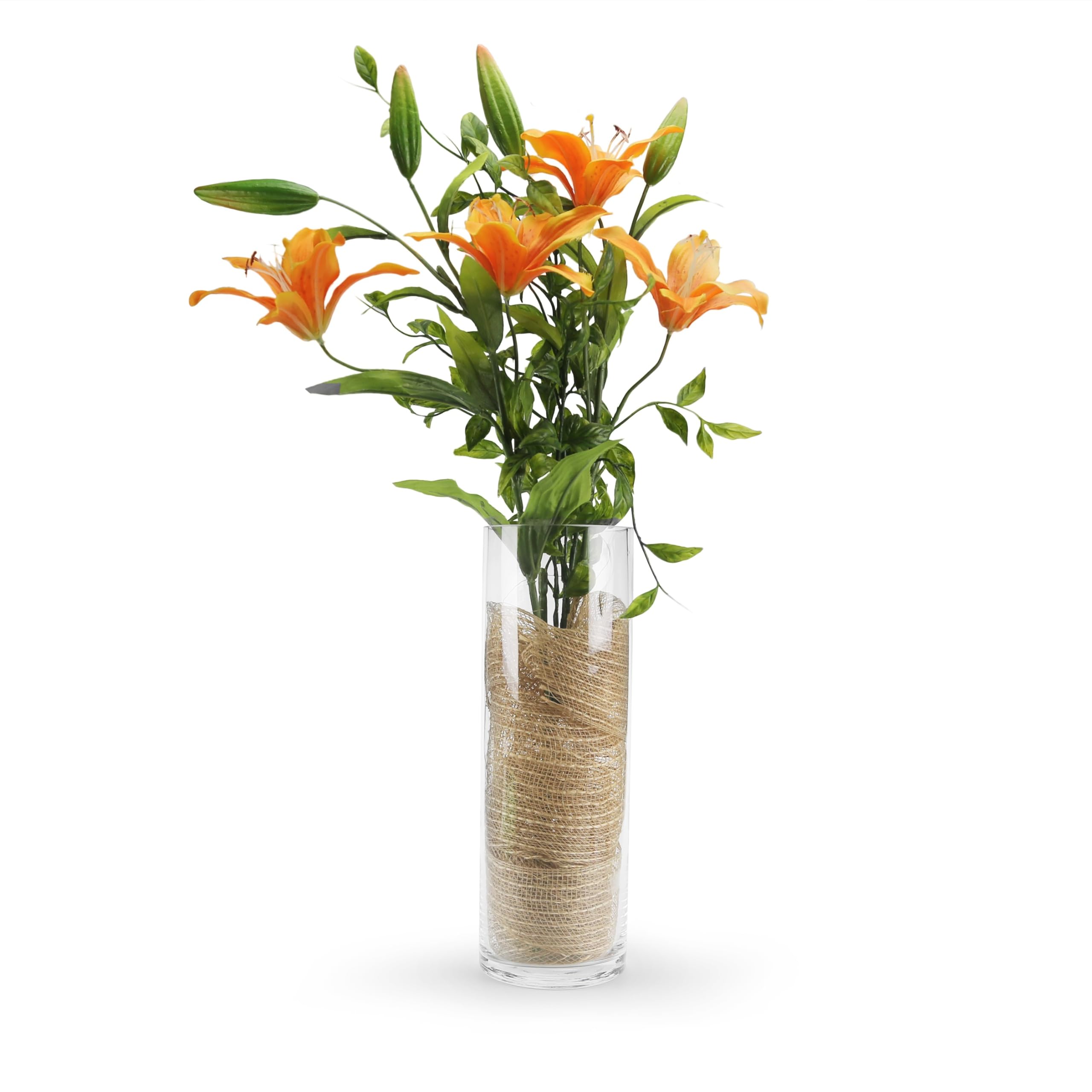 Premium Clear Glass Cylinder Vases - 4