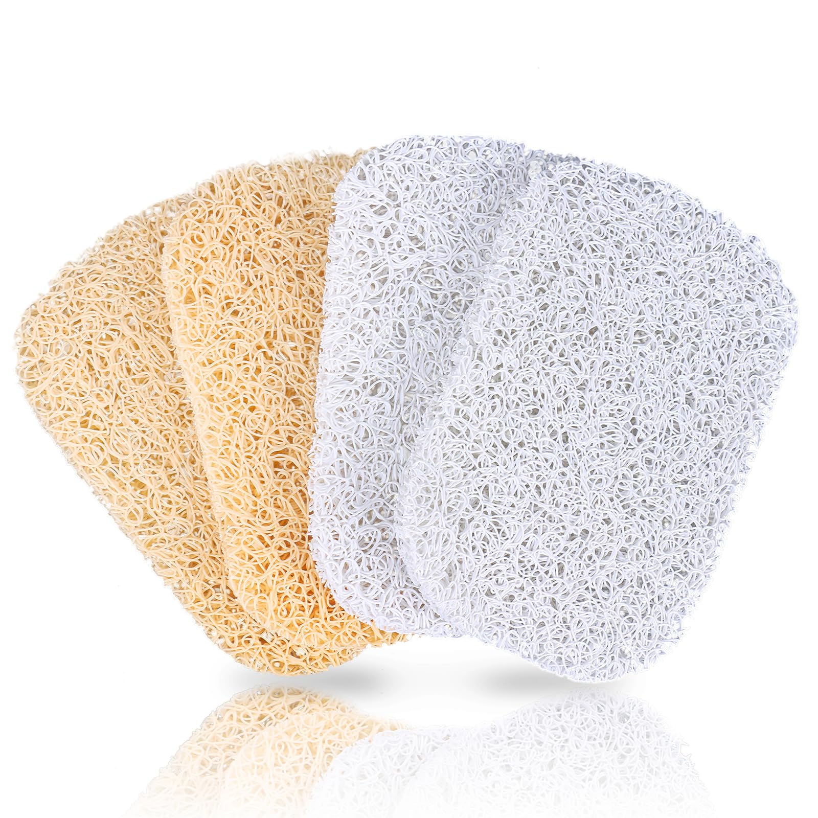 A Journey to Cleanliness and Sustainability