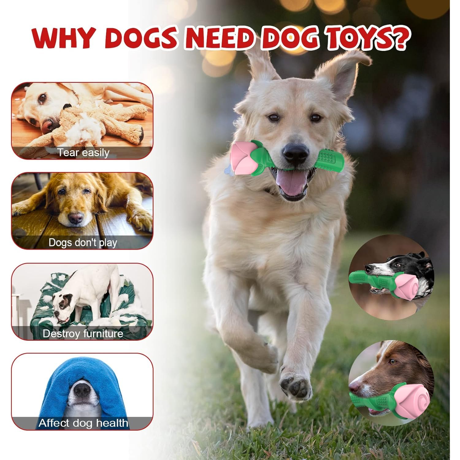 Durable Dog Chew Toys for Aggressive Chewers - Interactive Pet Training Toys with Teeth Cleaning Benefits (Champagne & Rose Colors) - Perfect for Playtime, Training Sessions, and Dental Care