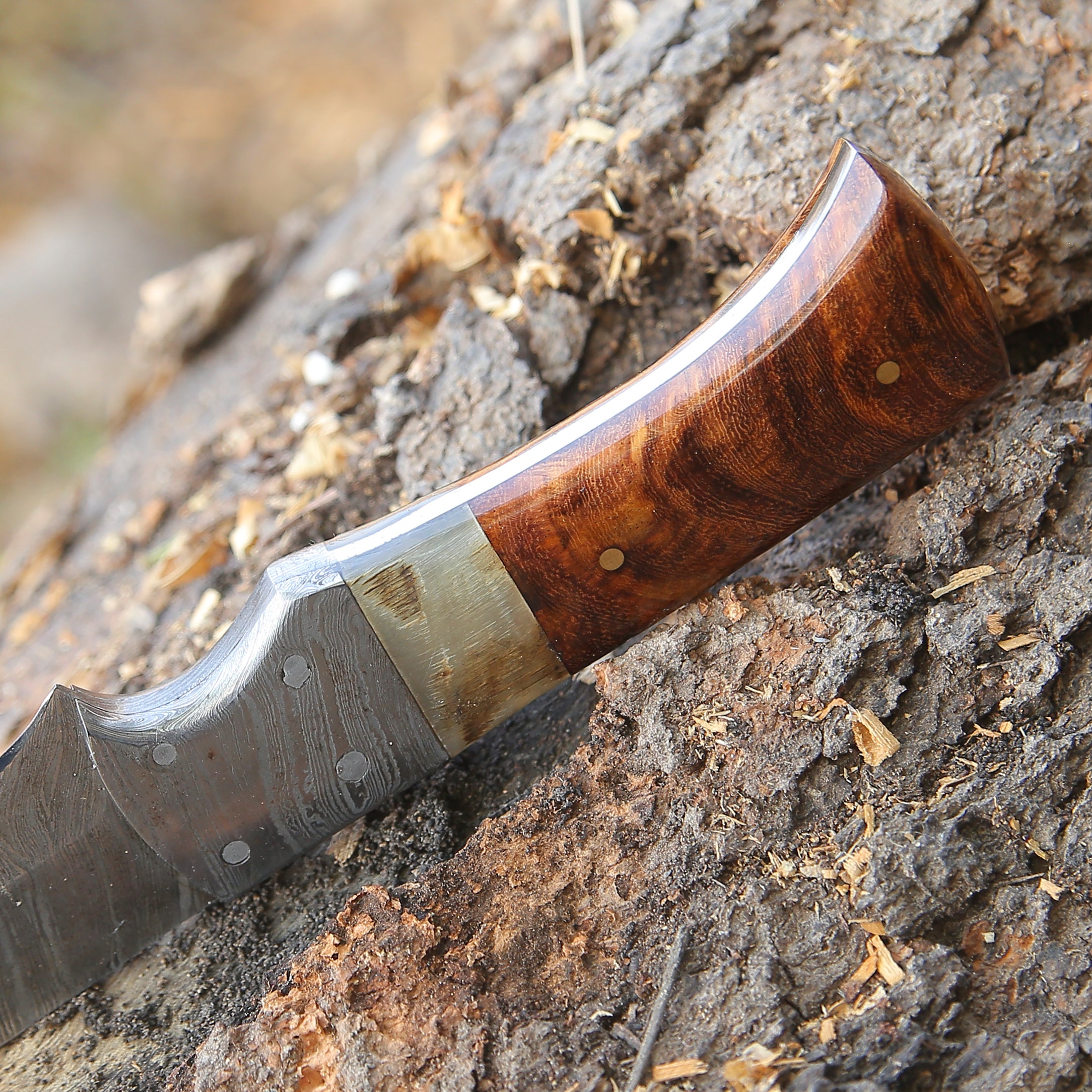 Premium Stinger Custom Handmade Hunting Knife - Razor Sharp Outdoor Survival Tool with Genuine Ram Horn & Rosewood Handle - Perfect for Camping, Bushcraft, and Hunting Adventures