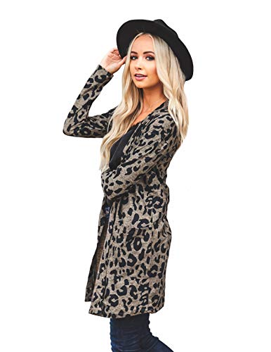 Wild Leopard