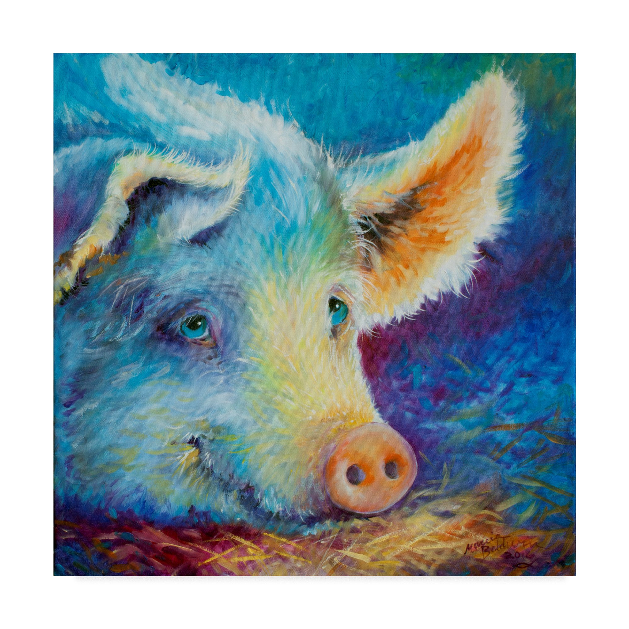 Trademark Fine Art Marcia Baldwin Multicolor Canvas Wall Art - Perfect for Living Room, Bedroom & Office Decor