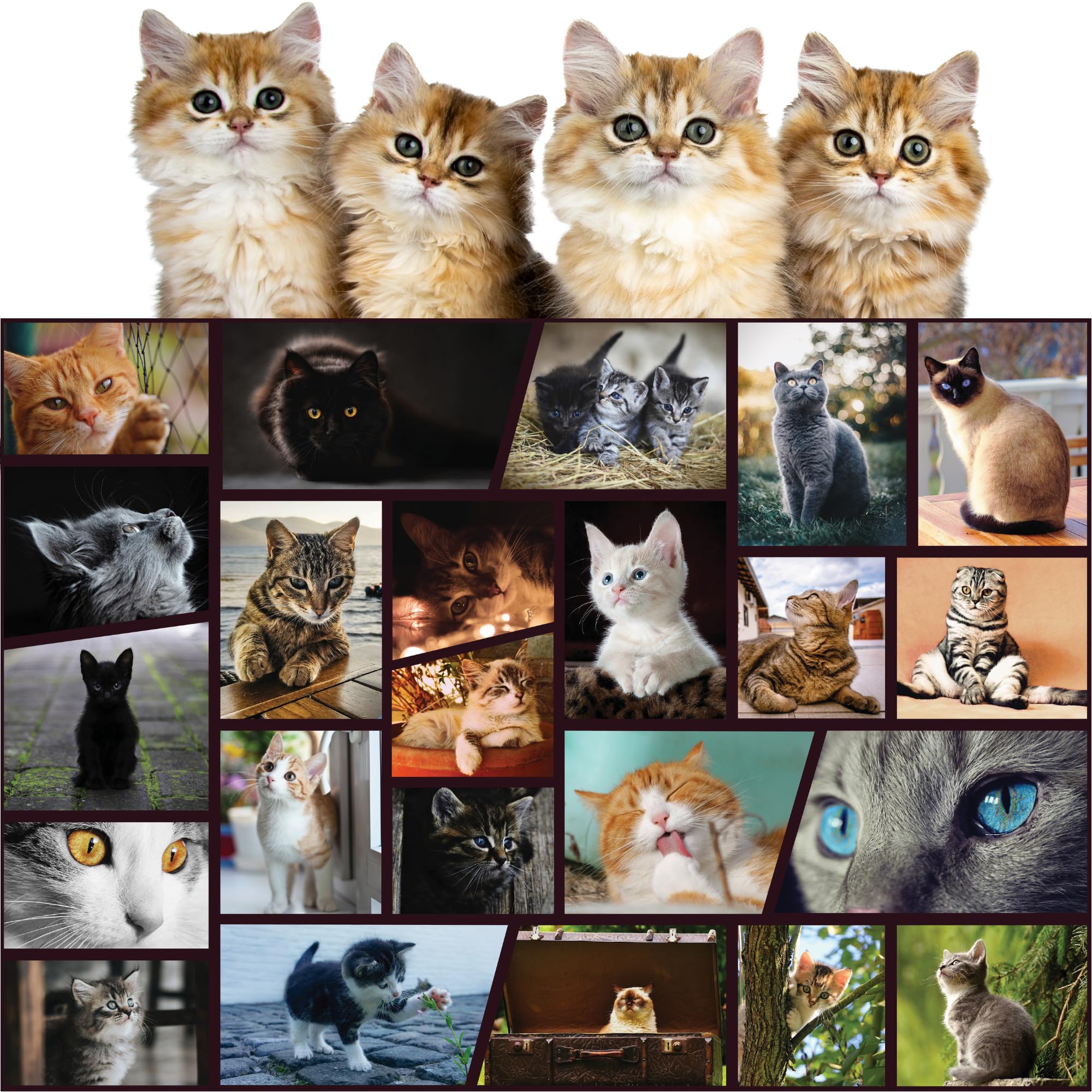 Better Me Cuddly Cats 500-Piece Jigsaw Puzzle for Adults & Families - Challenging Cat-Themed Puzzle Game for Cat Lovers, Perfect for Relaxation, Family Bonding & Home Decor