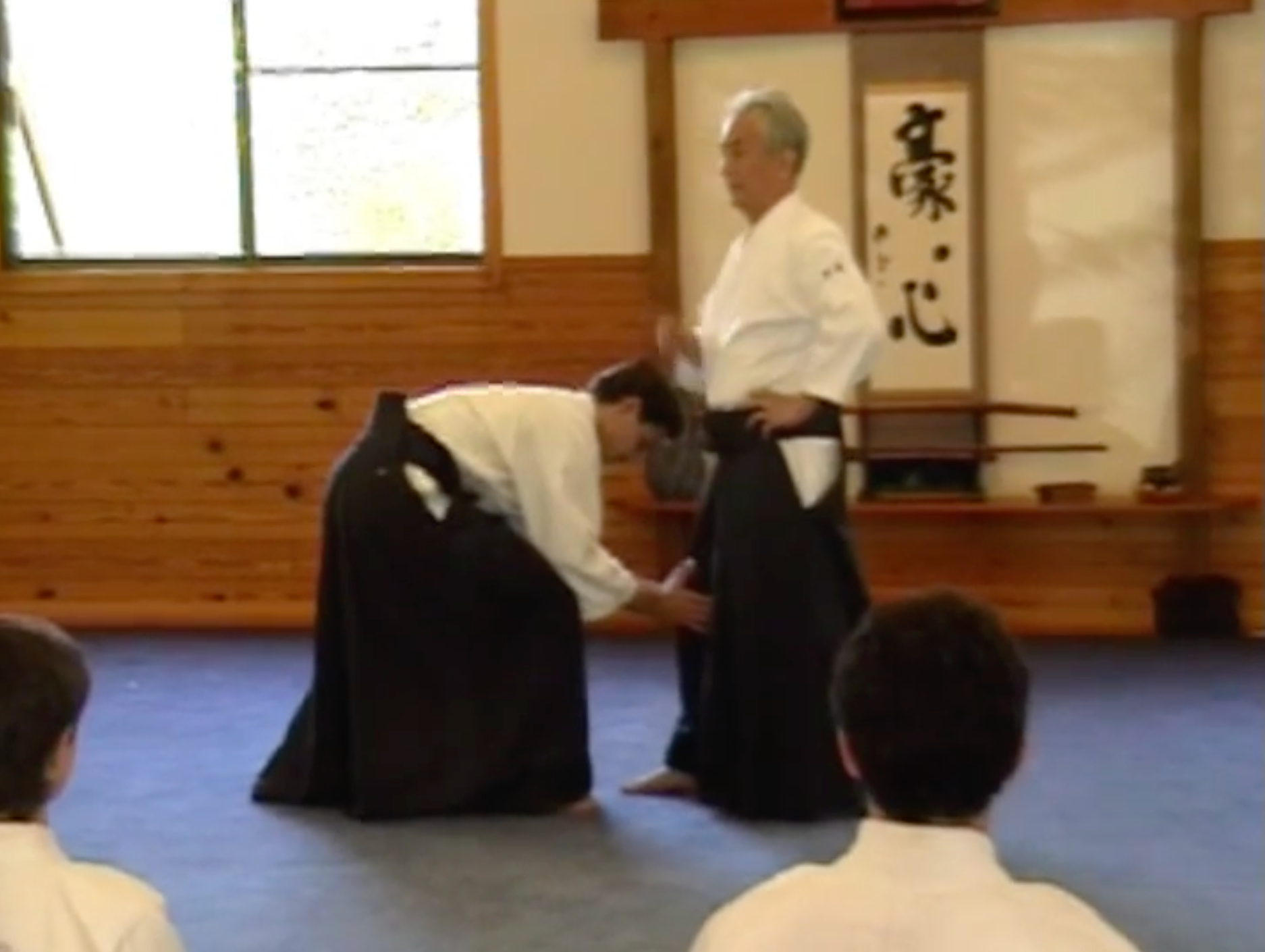 Aikido Yuishinkai 2005 Australia Seminar 2 DVD Set with Koretoshi Maruyama - Learn Traditional Aikido Techniques for Self-Defense & Martial Arts Training at Home
