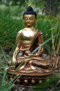 8 Inch Premium Shakyamuni Buddha Statue - Handcrafted Meditation Sculpture for Home Altar, Yoga Studio & Spiritual Decor