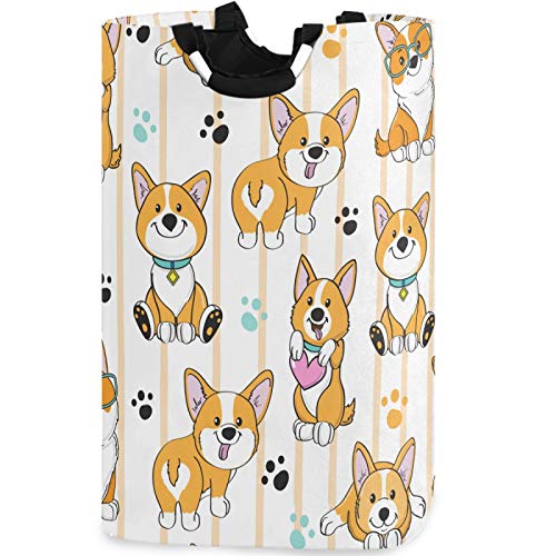 Corgi