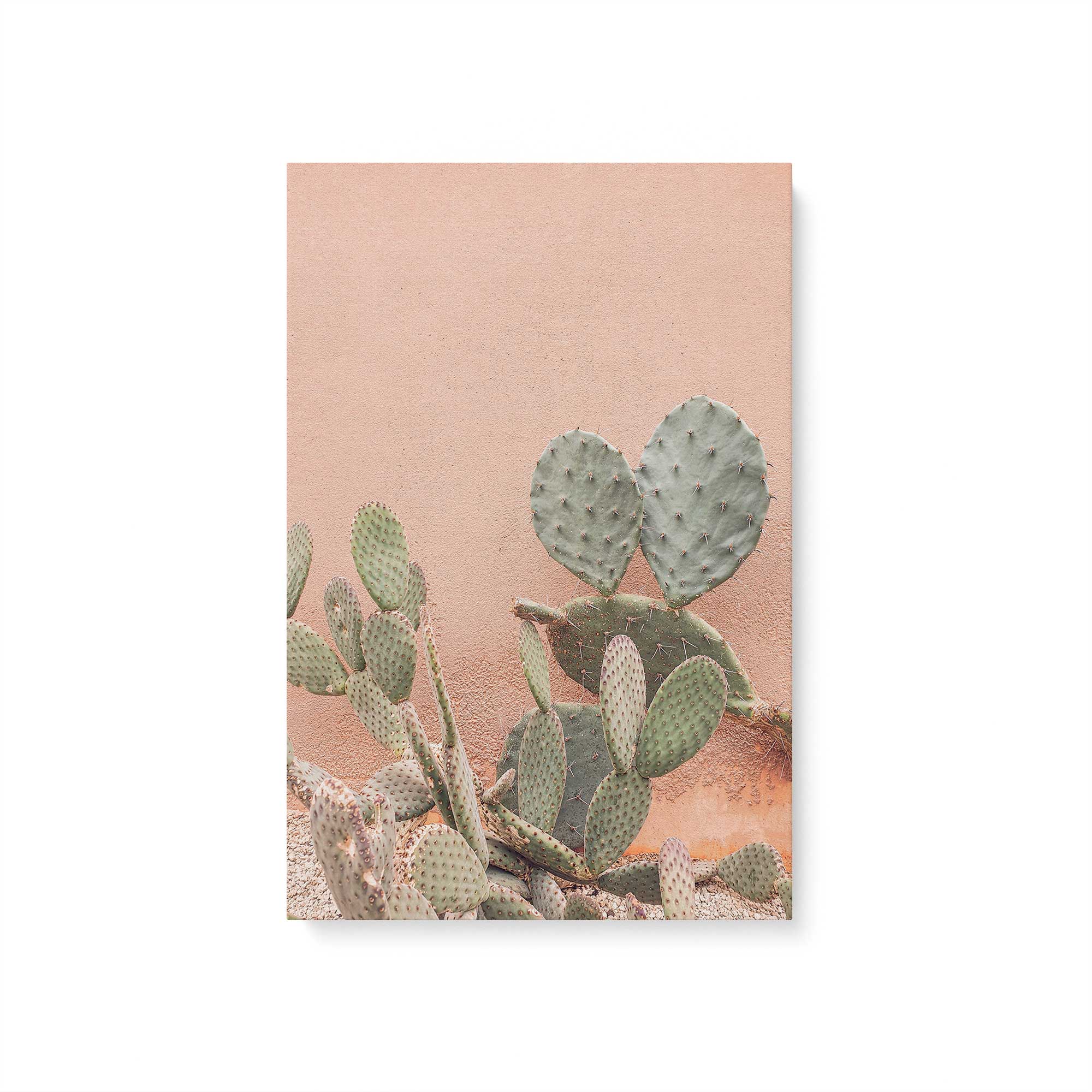 Desert Flora Canvas Wall Art Print - Botanical Home Decor for Living Room, Bedroom & Office