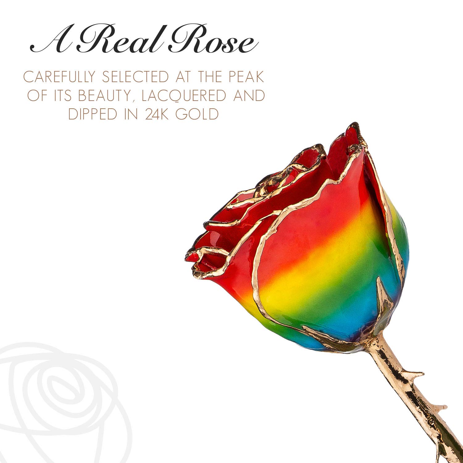 24K Gold Dipped Forever Rose - Real Rainbow Genuine Rose Handcrafted with Lacquer & 24K Gold Trim | Unique Everlasting Romantic Gift for Women & Men | Anniversary, Valentine's Day, Wedding Proposal Gift Idea