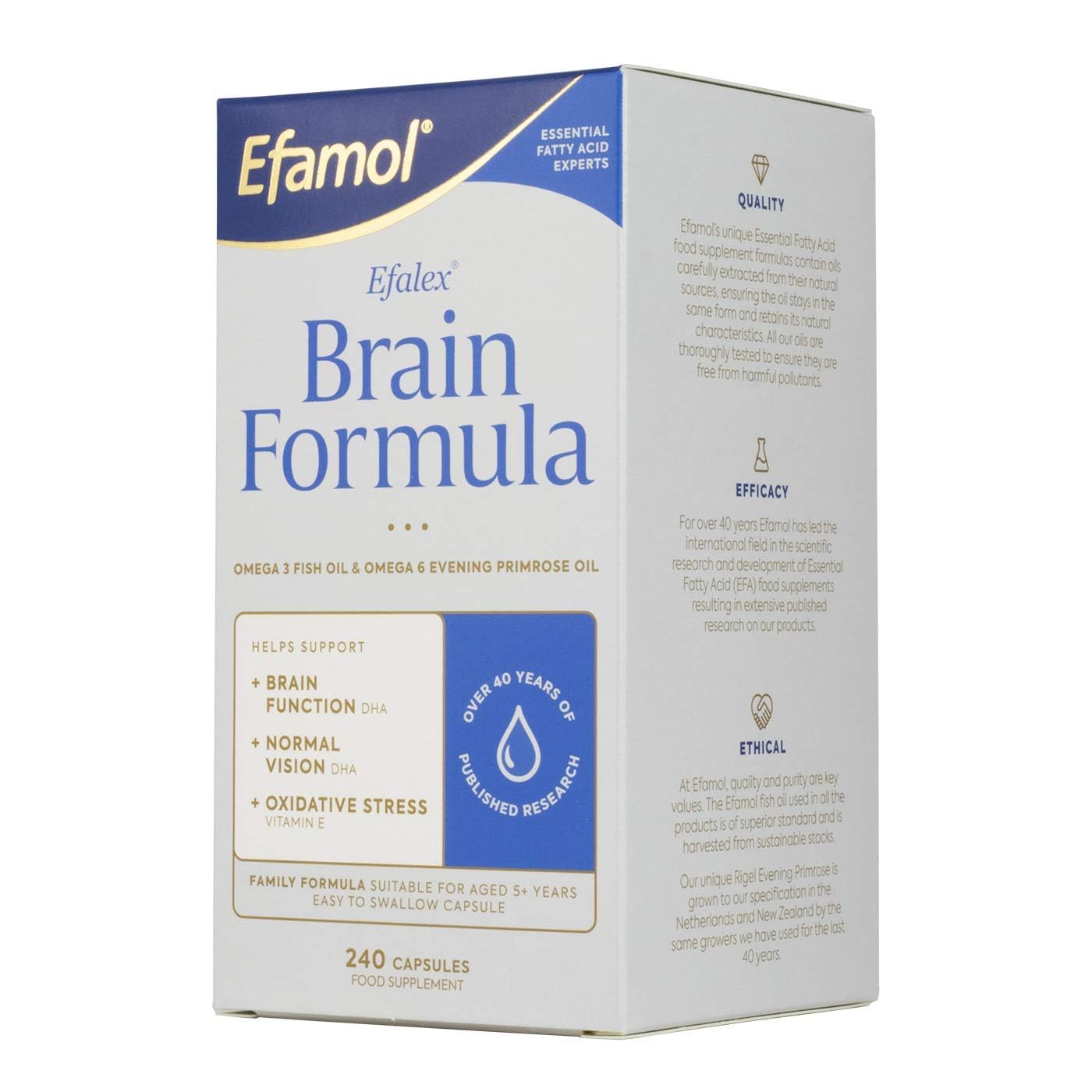 Efamol Brain Efalex Brain Formula - 240 Capsules for Memory & Focus Support | Omega-3 & DHA Supplement for Adults & Students | Study Aid & Cognitive Enhancement