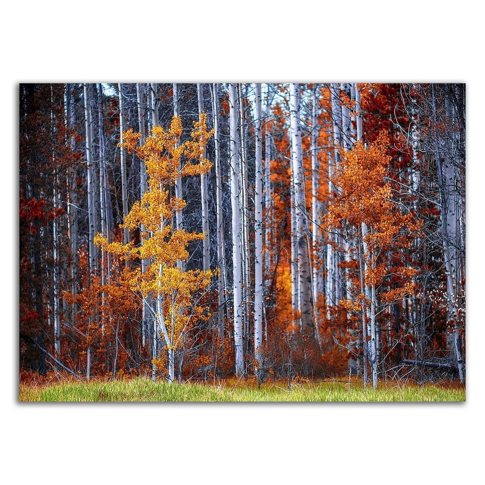 Autumn Birches by Vladimir Kostka - Premium Canvas Art Print with Ready-to-Hang Frame | Nature Landscape Wall Decor for Living Room, Bedroom & Office