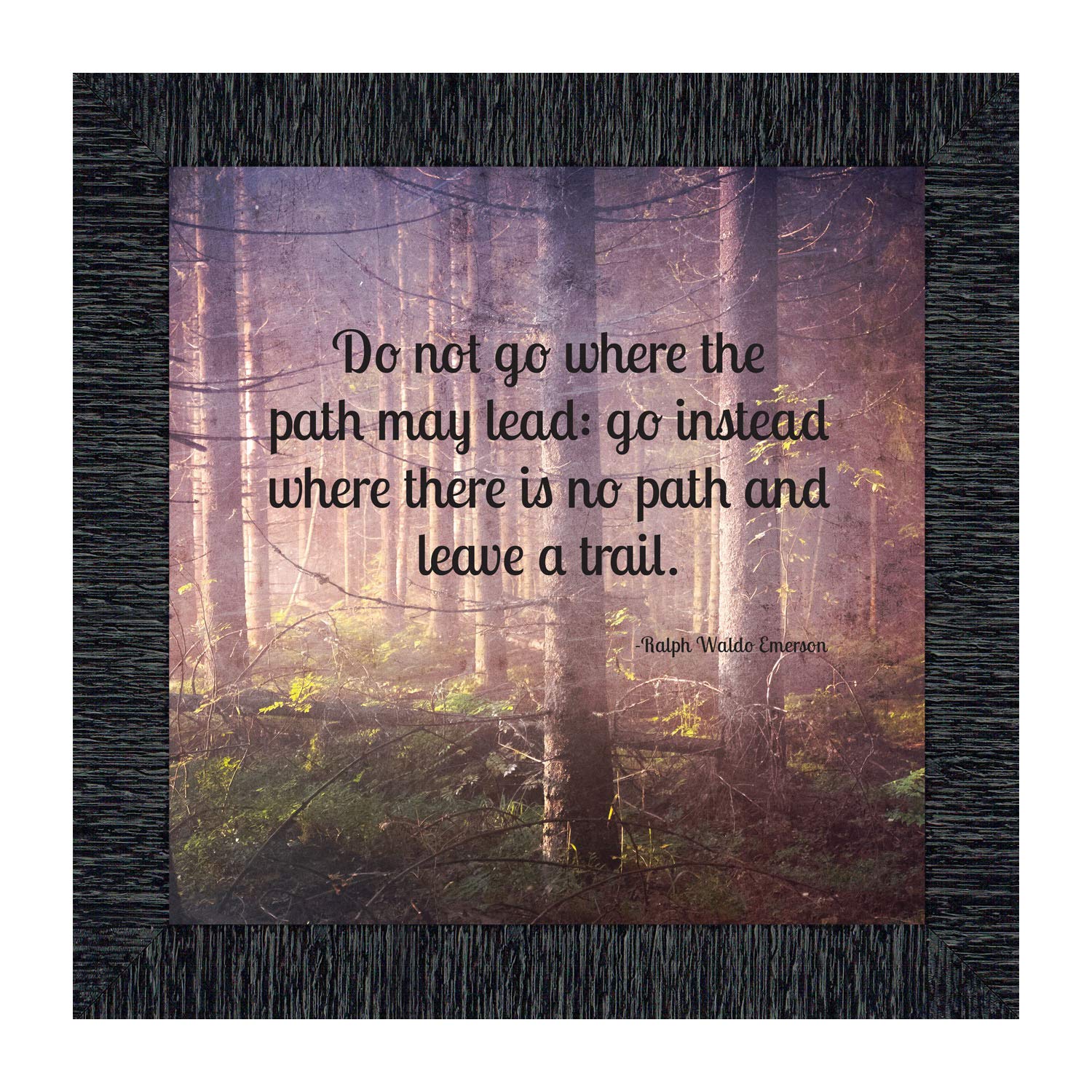 Motivational Wall Art with Emerson Quote - Inspirational Office Decor & Graduation Gifts for Boys - 'Do Not Go Where the Path May Lead' Framed Print - Perfect for Home Office, College Dorm & High School Graduation Party Decor