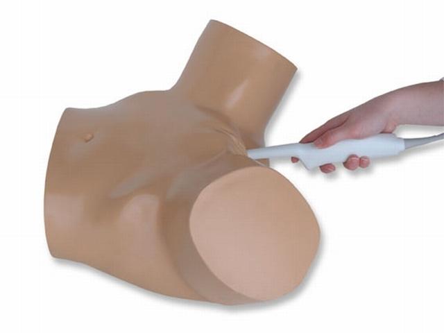 General Pathology Transvaginal Ultrasound Training Model - High-Quality Medical Simulation for OB/GYN Education & Clinical Practice - Perfect for Medical Schools, Hospitals & Diagnostic Labs