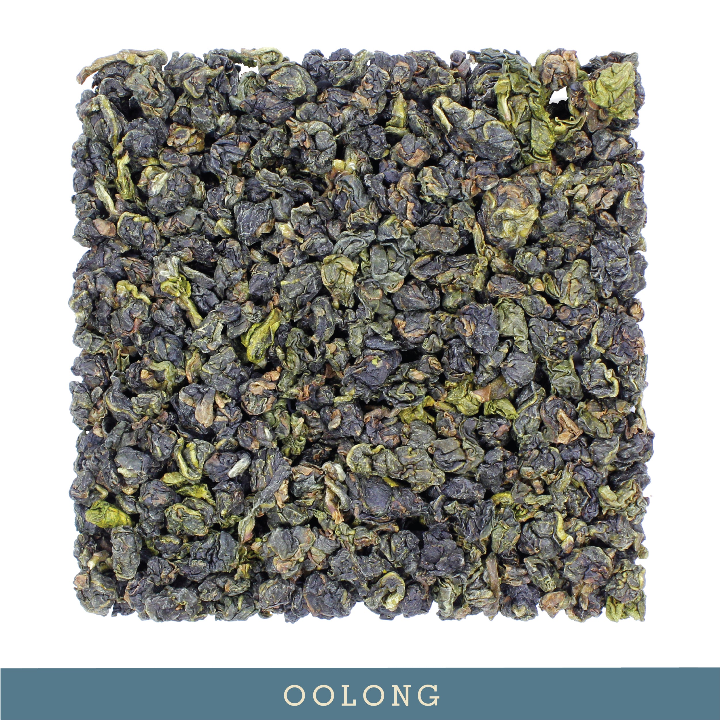 Premium Nantou Four Seasons Oolong Tea - 1 lb Wholesale Bulk for Tea Shops, Cafes & Home Brewing - High-Quality Loose Leaf Tea for Daily Relaxation & Health Benefits