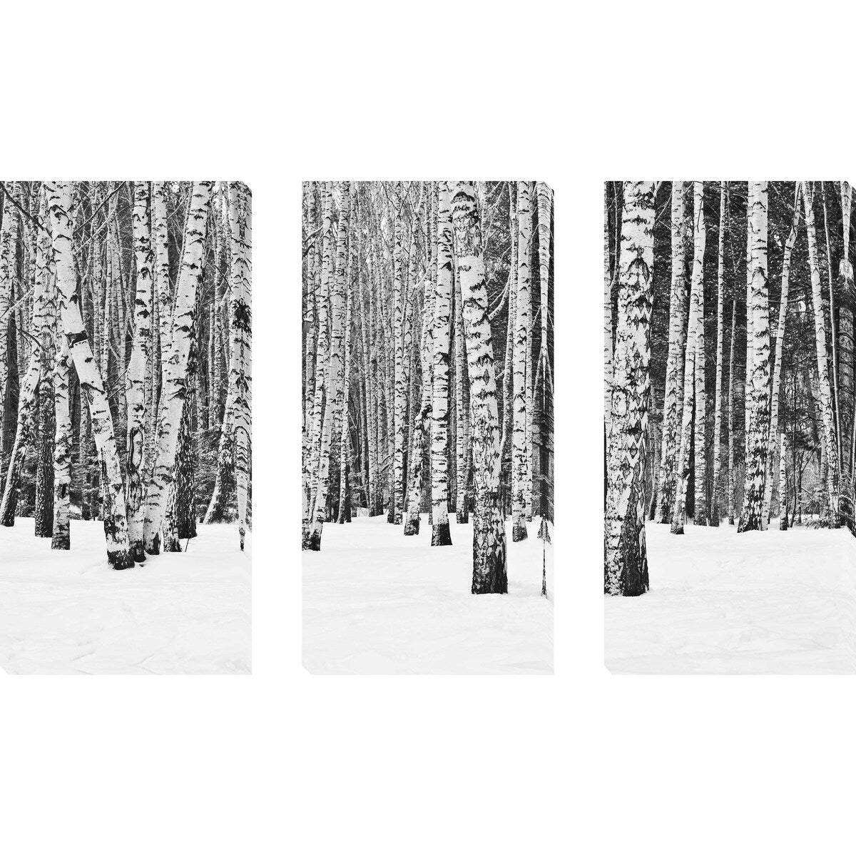 Birch Trees in Winter 3-Piece Canvas Wall Art Set - Perfect for Living Room, Bedroom & Office Decor