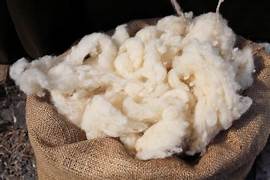 Premium Loose Sheep Wool for Knitting, Crochet & Felting - Natural Undyed 100% Wool Yarn for Handmade Crafts, DIY Projects & Home Decor
