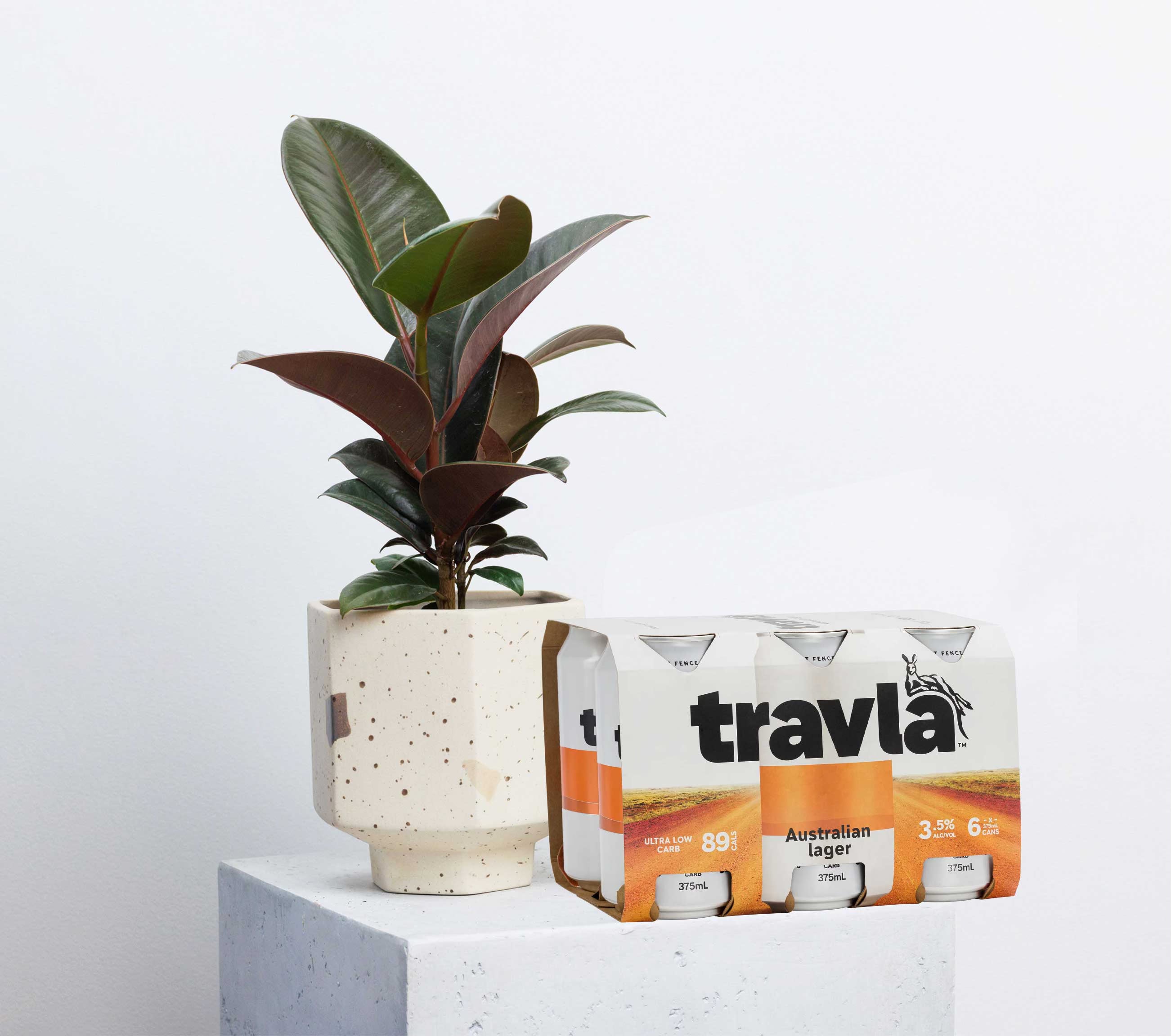 Plant & Beer Gift Pack - Perfect for Garden Lovers & Beer Enthusiasts | Unique Housewarming, Birthday & Party Gifts