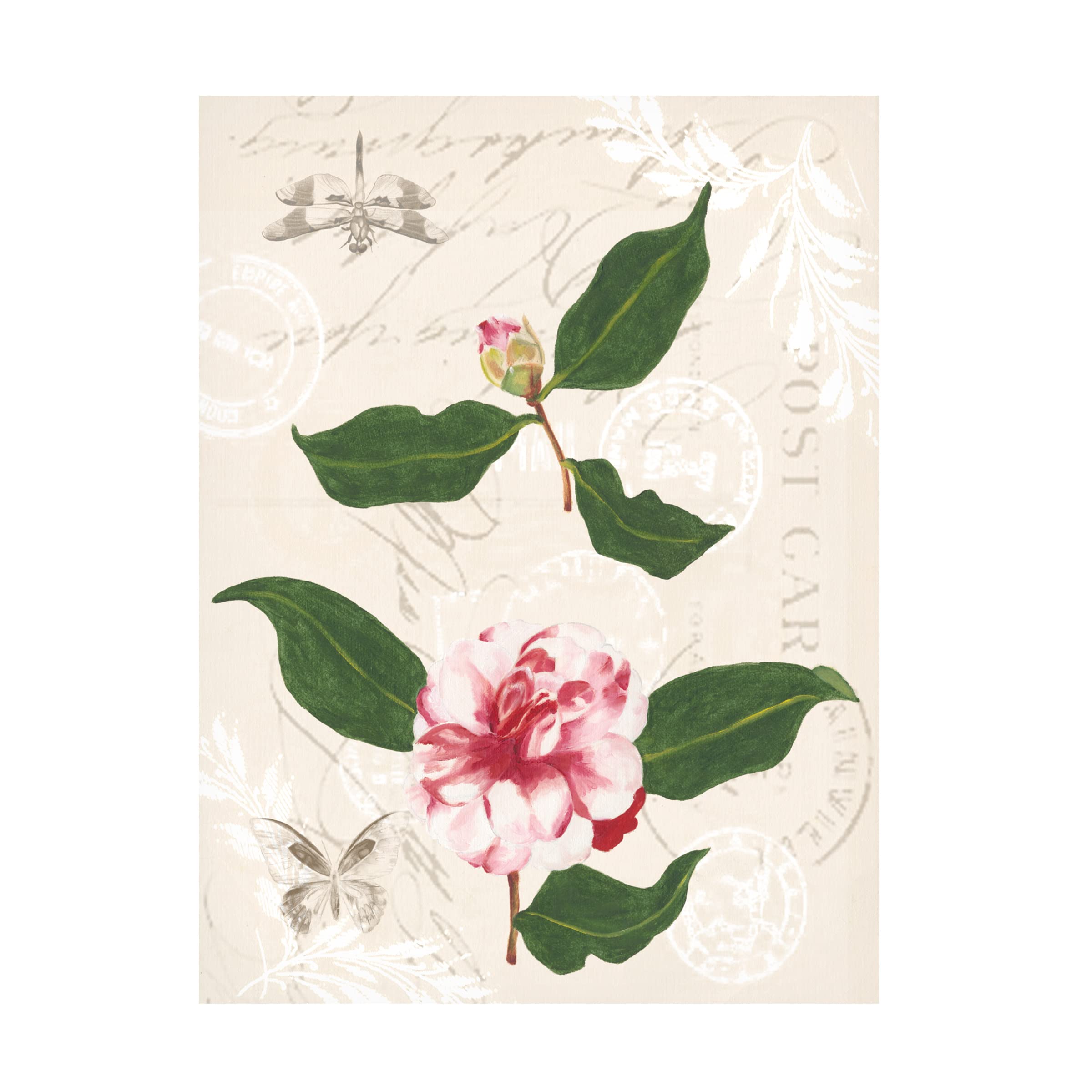 Trademark Fine Art 'Dianne's Camelias III' Floral Canvas Painting by Dianne Miller - Perfect for Living Room, Bedroom & Office Wall Decor
