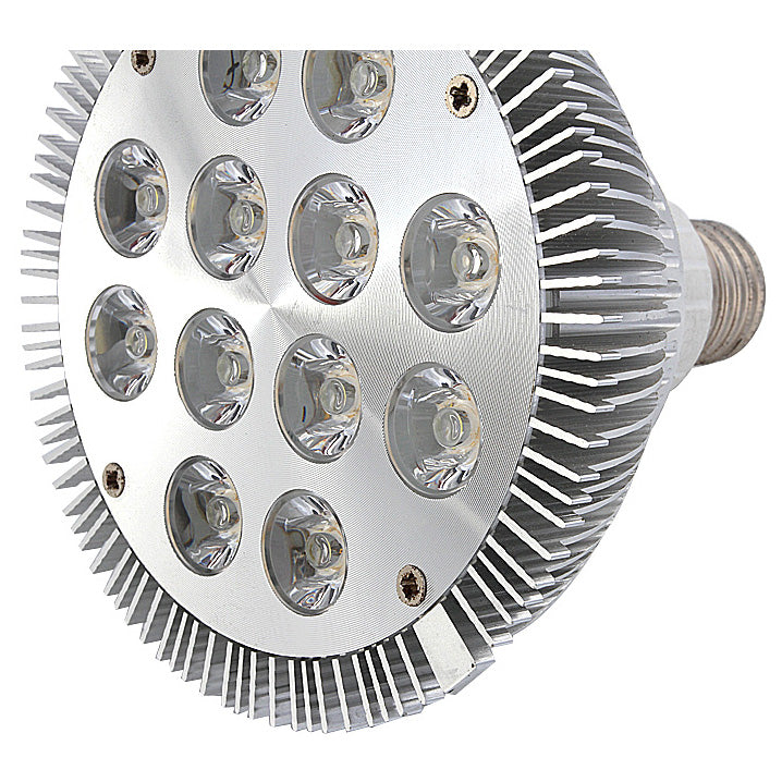 12W (12x1W) PAR38 LED Bulb with E26/E27 Base - 90W Halogen Equivalent - 100-240V AC - Silver Housing - Indoor Use for Recessed Lighting, Track Lights, and Display Cases