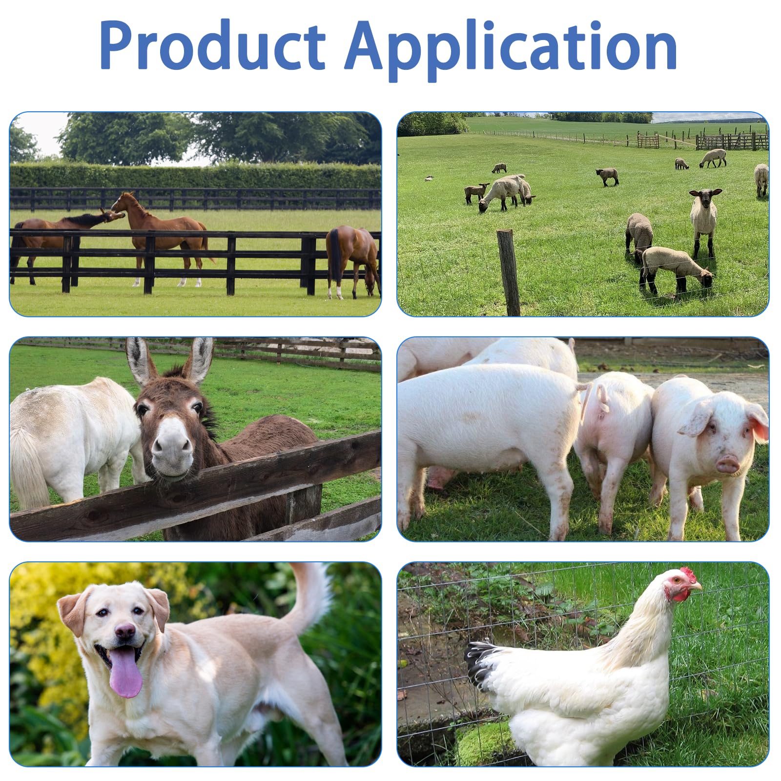 PE2 0.10 Joule Electric Fence Charger - 250 Electric Fence Energizer for Livestock & Pets - Keep Out Small Animals - Perfect for Farms, Backyards & Animal Containment