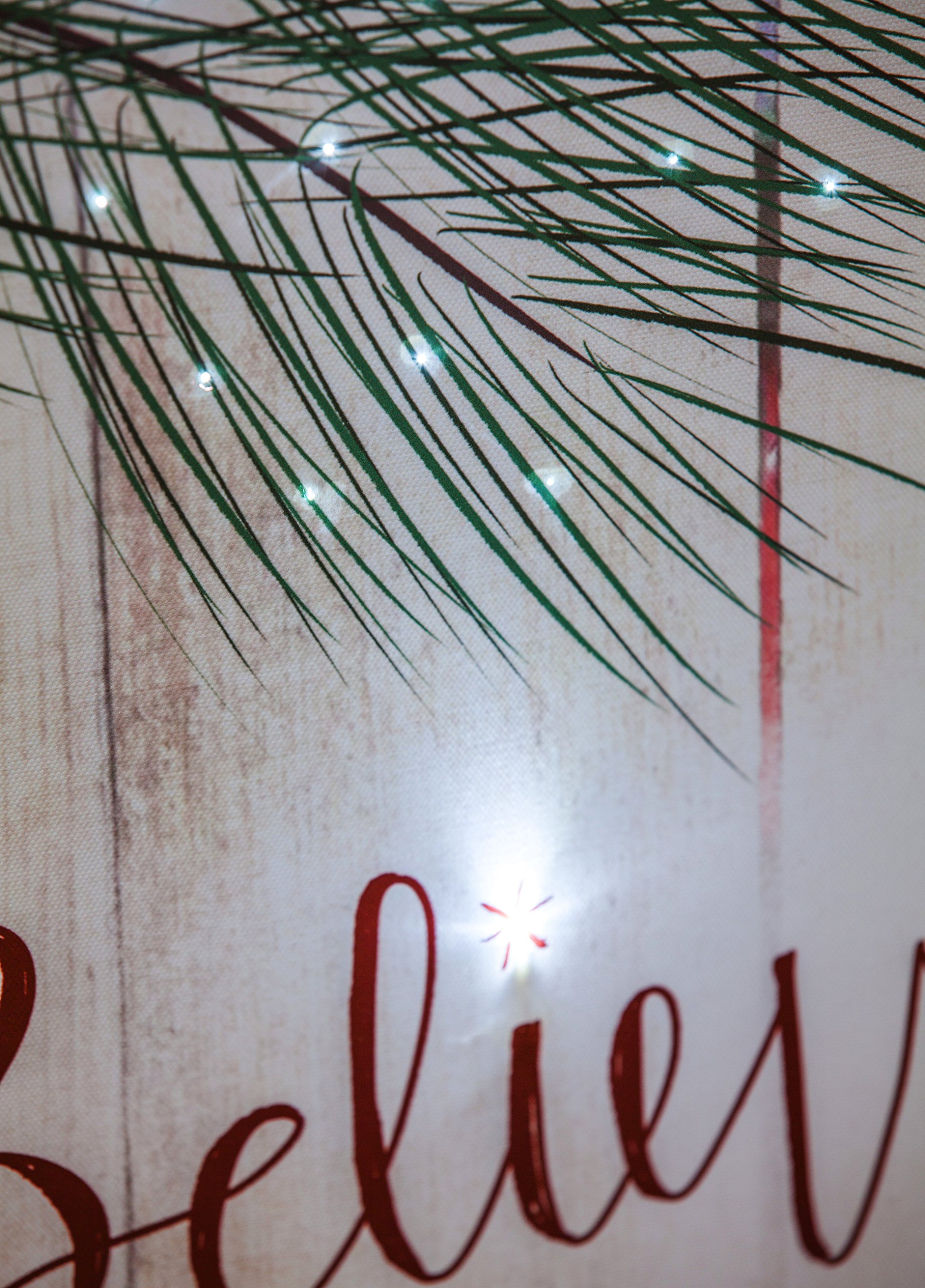 Believe LED Canvas Wall Art - Inspirational Home Decor for Living Room, Bedroom & Office - Modern Lighted Wall Hanging for Christmas, Wedding & Gifts