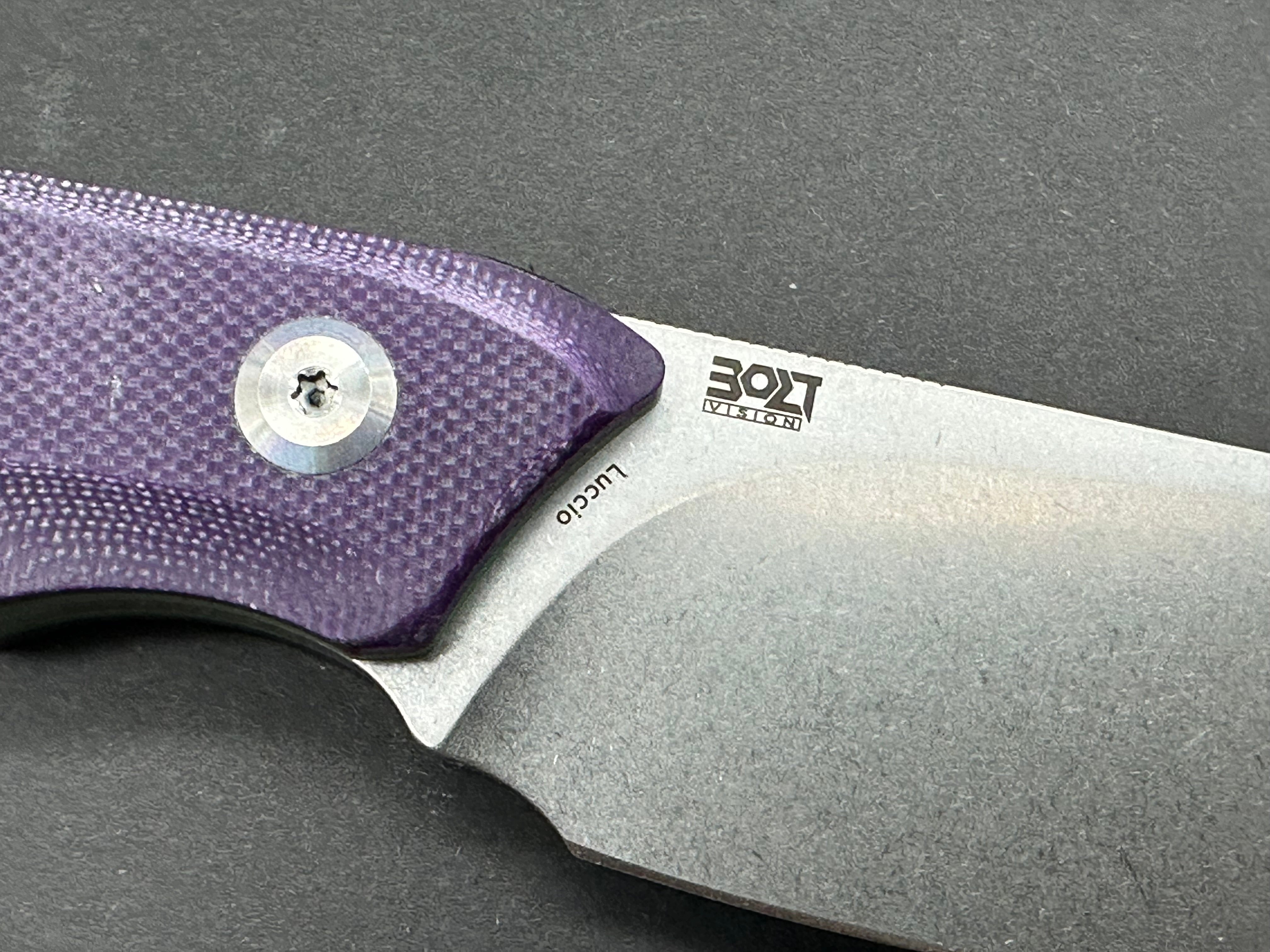 TENABLE LUCCIO Fixed Blade Knife - Purple G10 Handle, 14C28N Plain Stonewash Blade - Perfect for Camping, Hunting & Outdoor Survival