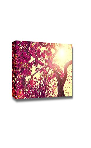 Blooming Tree