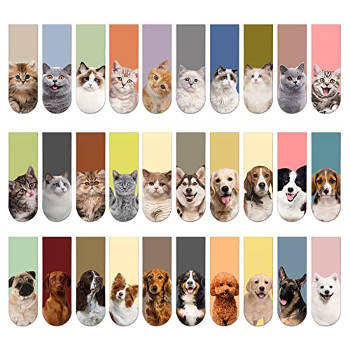 Animal Models