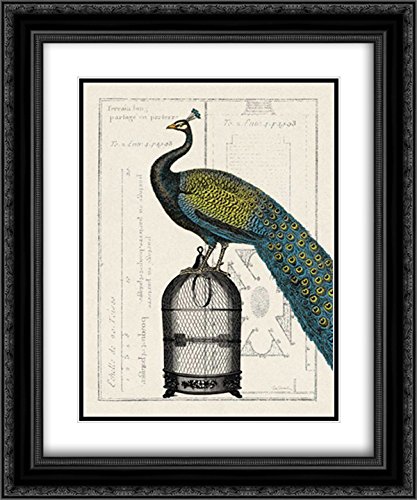 Wild Apple Portfolio 15x18 Black Ornate Framed Double Matted Museum Art Print - Peacock Birdcage II Wall Decor for Living Room, Bedroom & Office