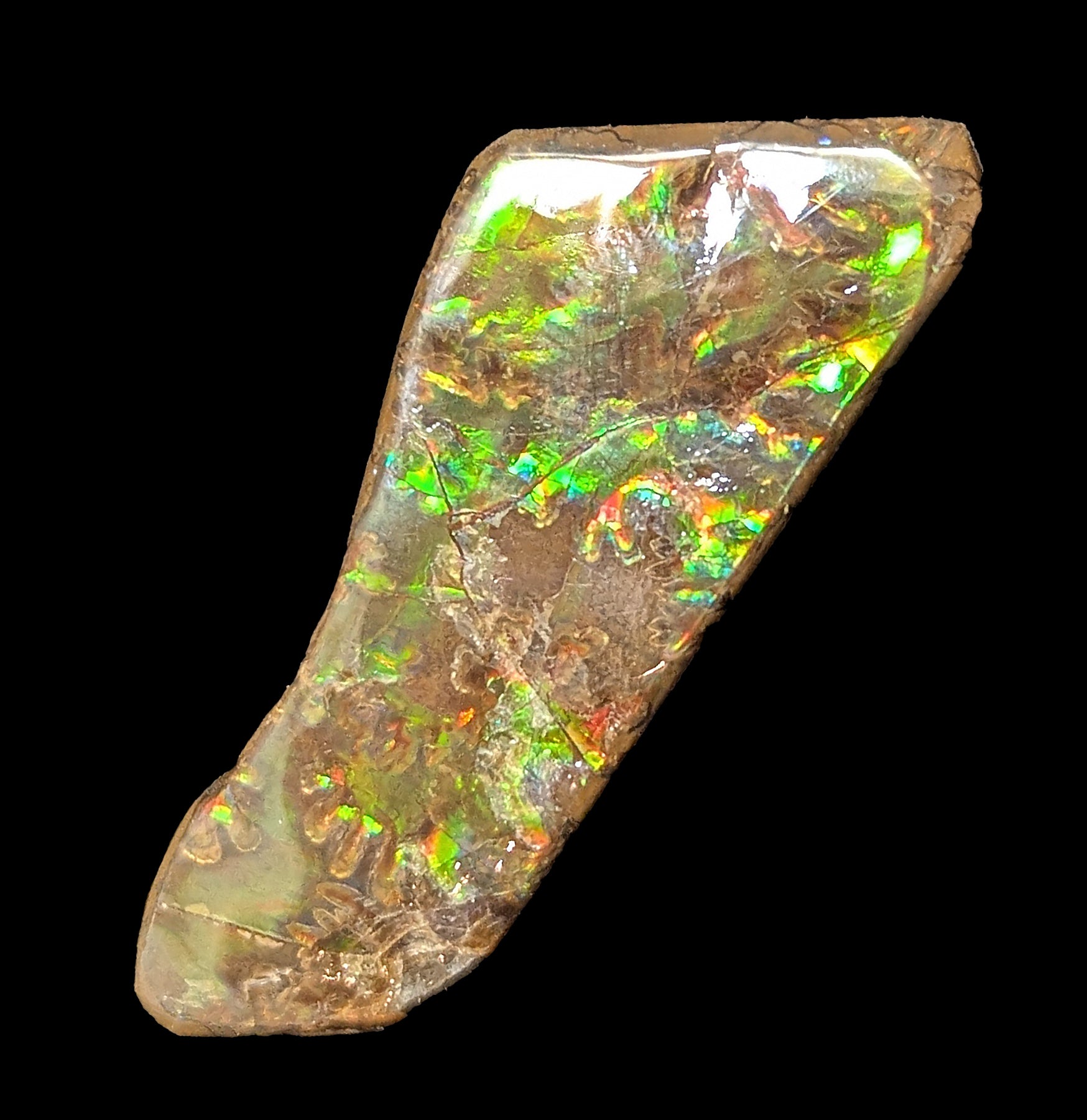 Natural Ammolite Gemstone Fragment - Rare Iridescent Fossil Shell Jewelry Making Supply for Necklaces, Rings & DIY Crafts