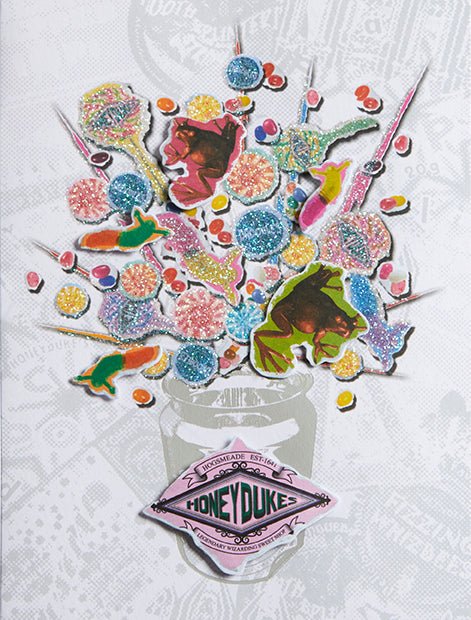 Harry Potter Honeydukes Embellished Birthday Card - Official Wizarding World Collectible - Perfect for Harry Potter Fans, Birthday Gifts & Special Occasions