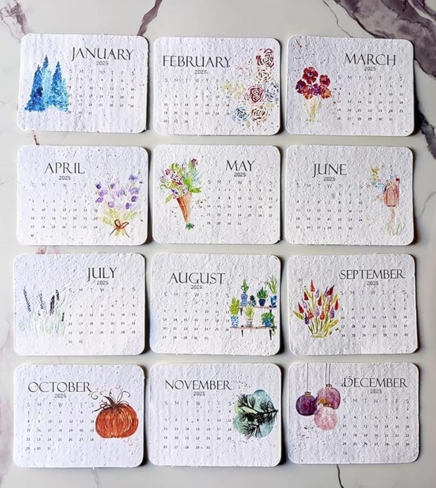 2025 Plantable Seed Calendar - Eco-Friendly Greenery Planner with Growable Herbs & Flowers | January to December Monthly Organizer | Perfect for Home Office, Kitchen & Sustainable Gardening Gifts