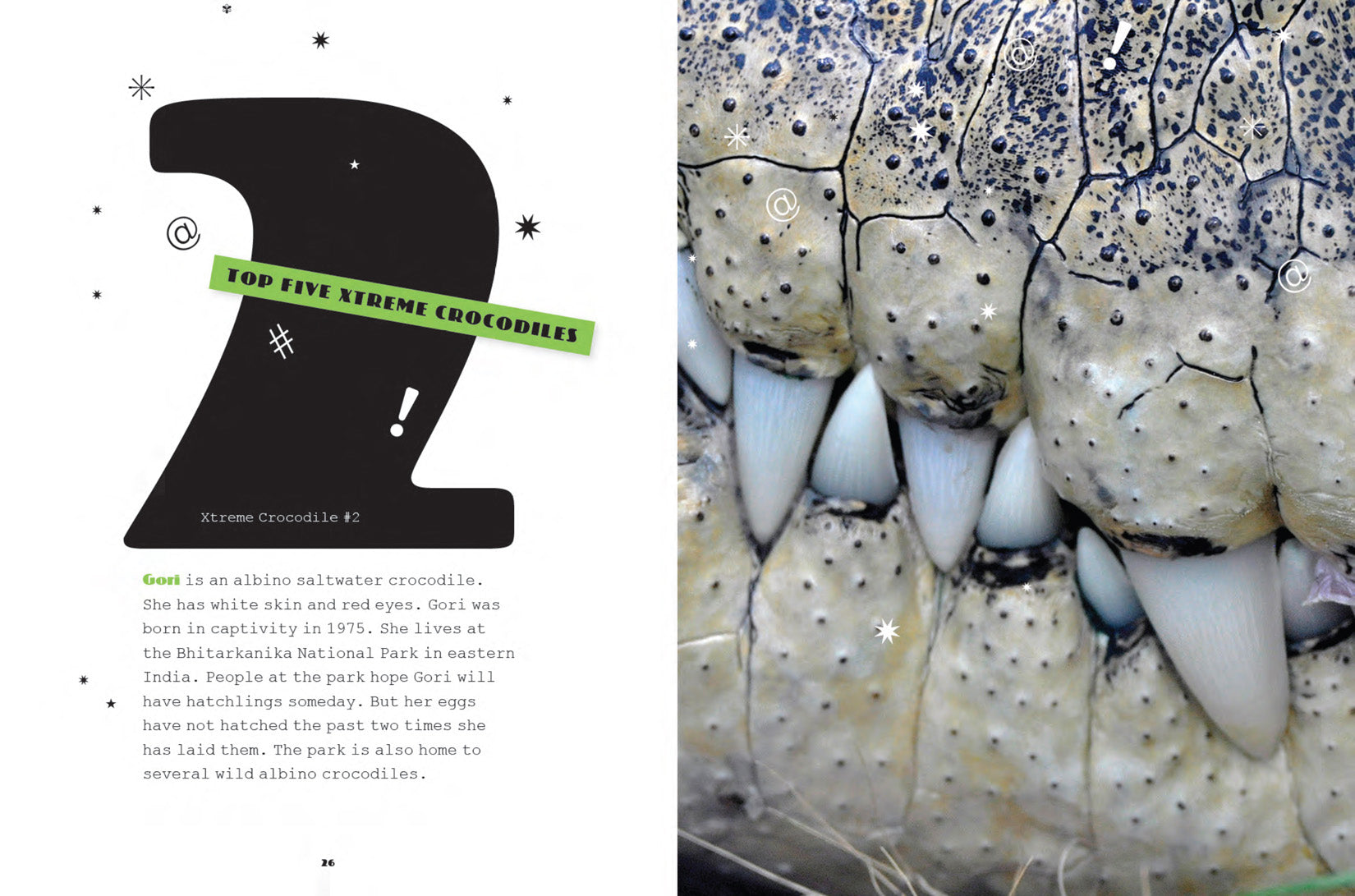 Crocodiles Book: ISBN 978-1-64026-080-1 - Perfect for Wildlife Enthusiasts & Nature Education