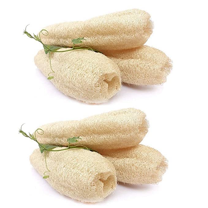 Organic Loofah Body Scrubber Pack of 12 - Natural Exfoliating Sponge for Men & Women - Eco-Friendly Luffa Bath Sponge for Smooth Skin - Perfect for Shower, Spa & Daily Skincare Routine
