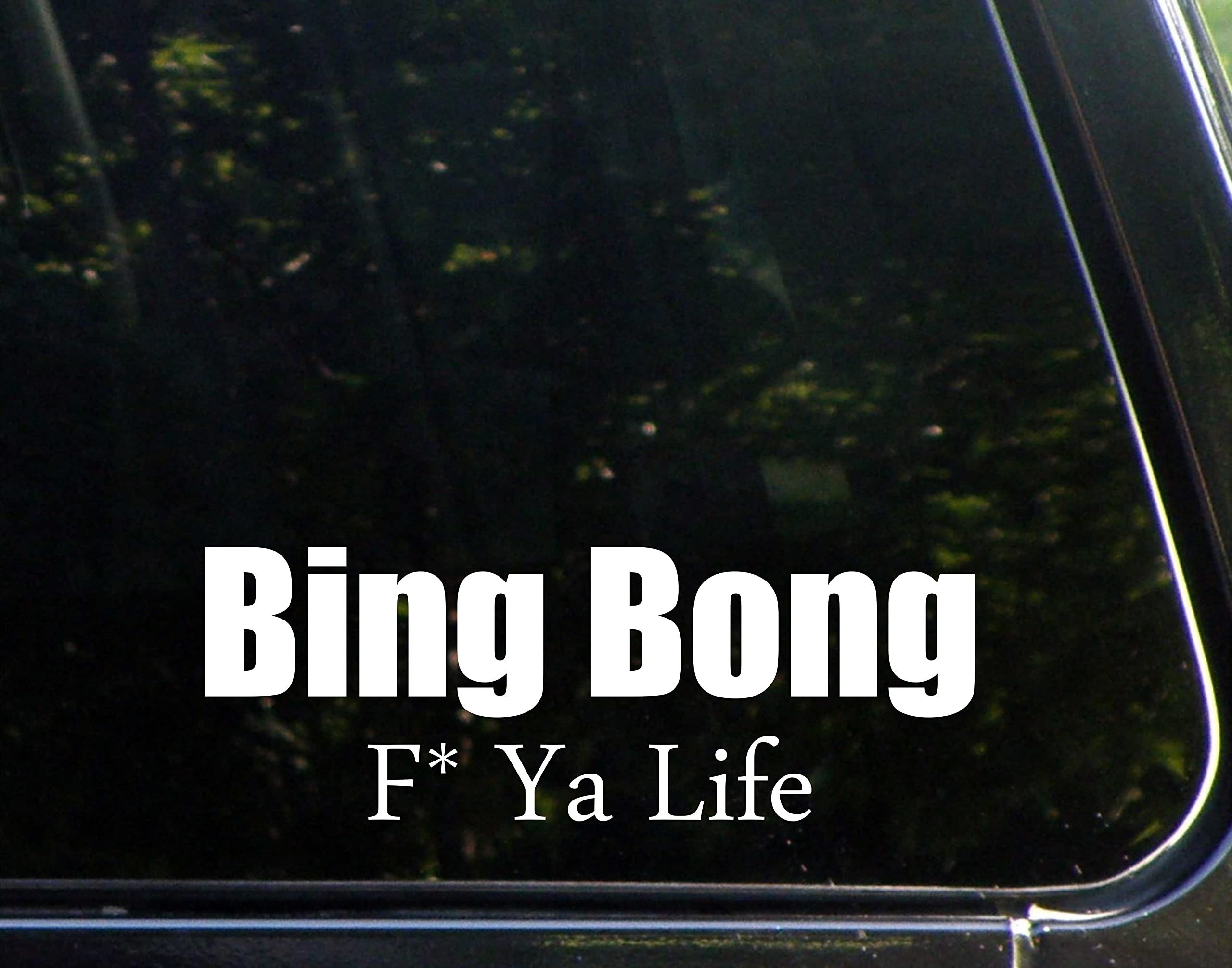 Bing Bong F* Ya Life 8.75