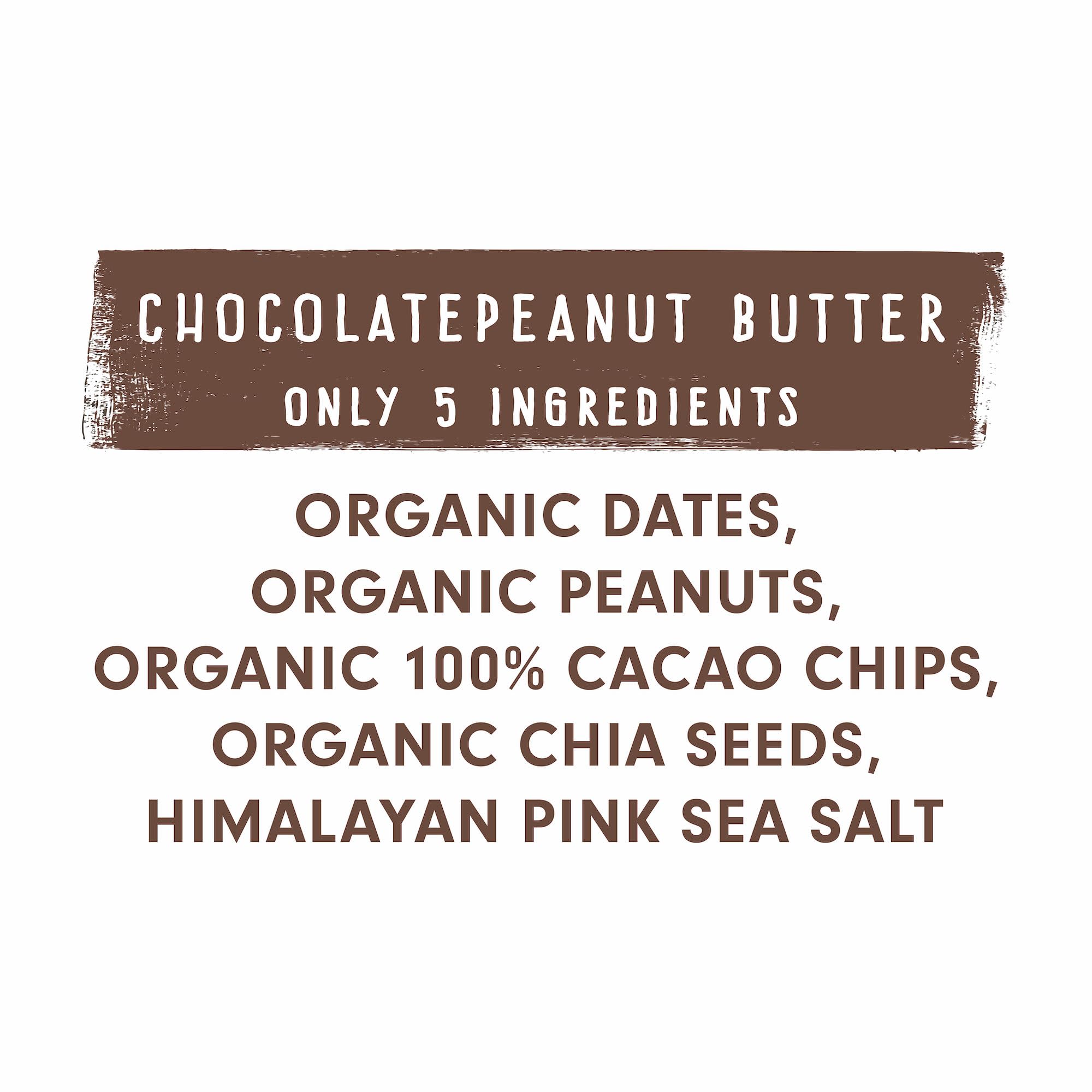 Organic Chocolate Peanut Butter Protein Bars (12 Pack) - USDA Certified, Non-GMO, Vegan, Gluten Free, Kosher Snacks - Perfect for Hiking, Workouts & Healthy On-the-Go Breakfast