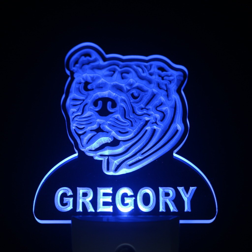 ADVPRO ws1059-tm Personalized Bulldog Night Light with Name - LED Night Light with Day/Night Sensor for Kids Room, Nursery, Bedroom Decor - Perfect Gift for Dog Lovers