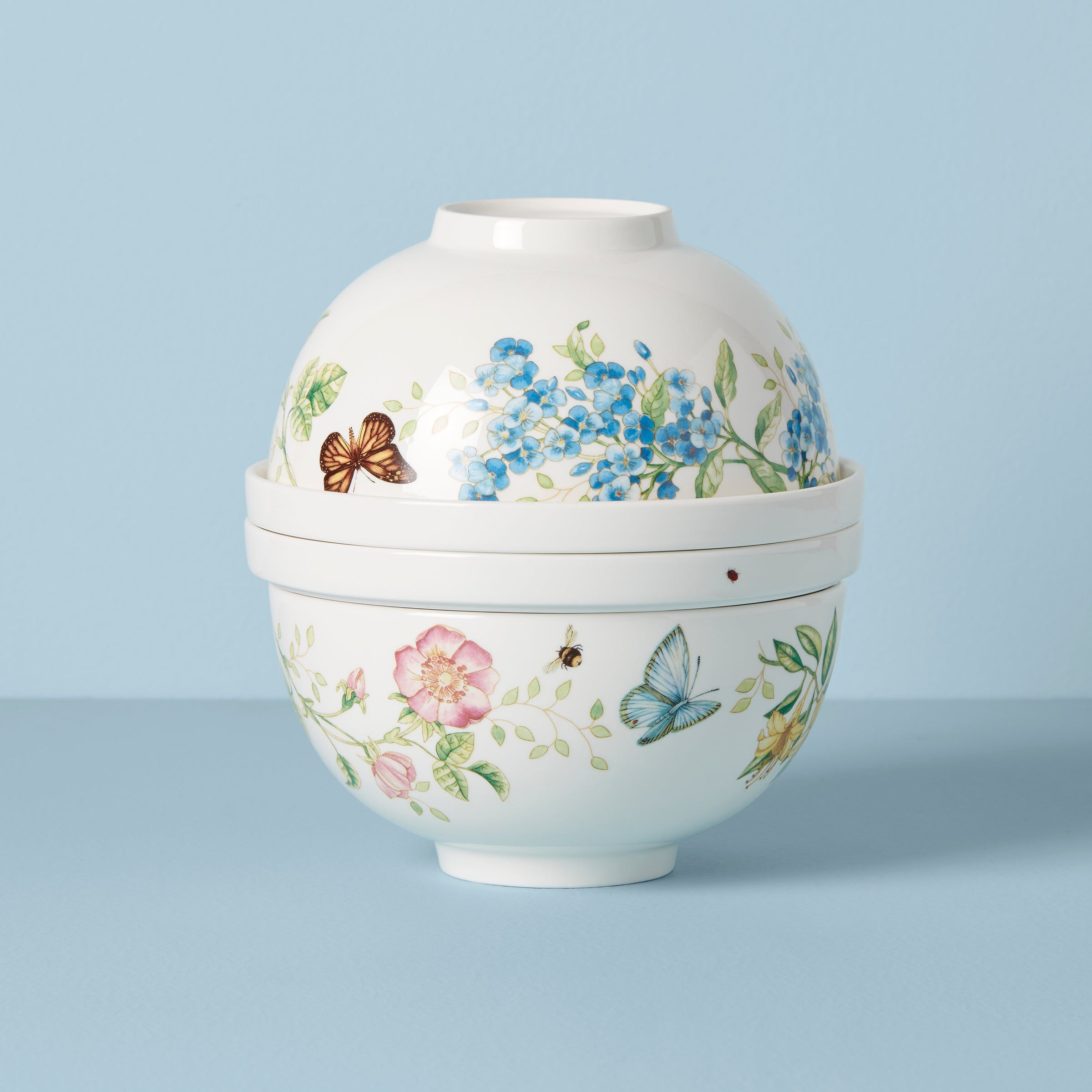 Butterfly Meadow 8-Piece Dinnerware Set - Elegant Porcelain Plates & Bowls for Everyday Dining, Dinner Parties & Home Decor
