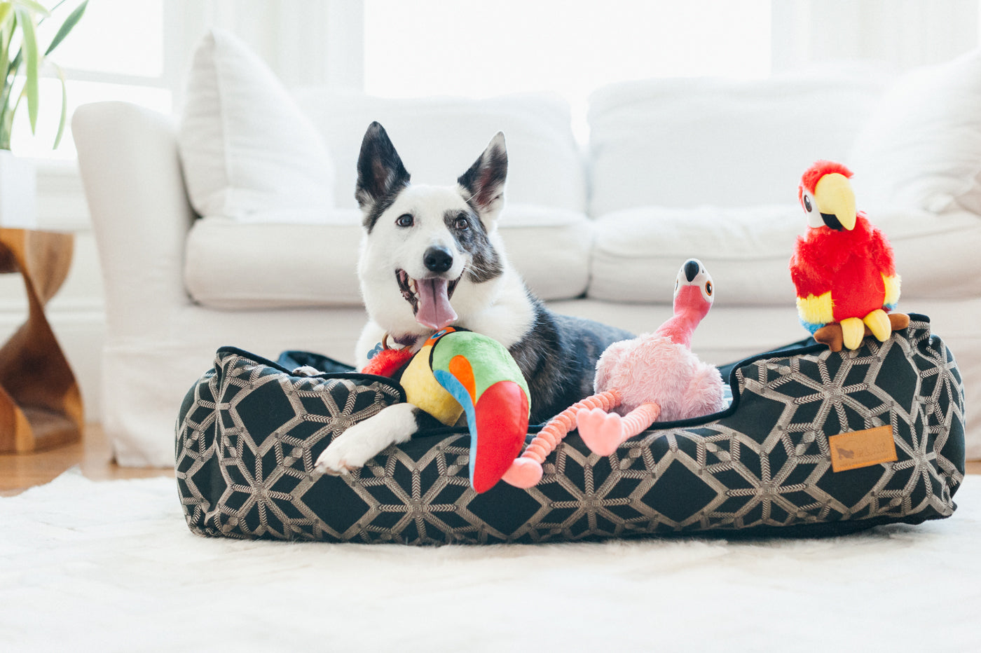 Flora the Flamingo Plush Dog Toy - Soft & Durable Fetching Flock™ Chew Toy for Small & Medium Dogs | Perfect for Playtime, Training & Cuddling | Pet P.L.A.Y.