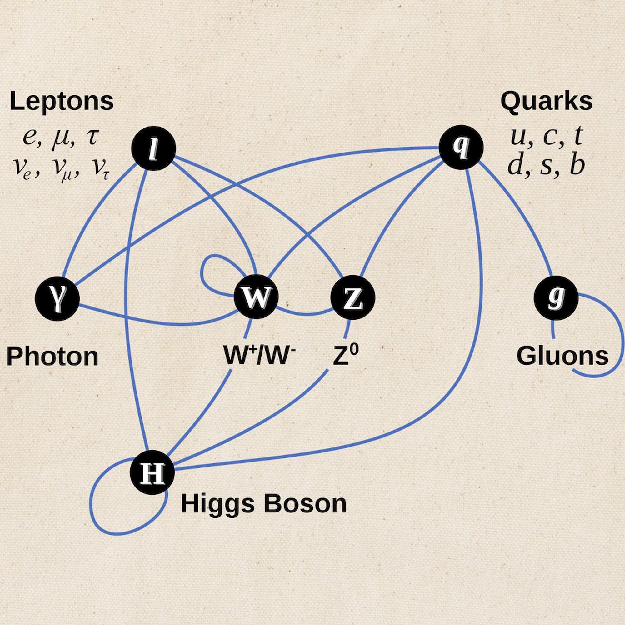 Higgs Boson Diagram Tote Bag - Natural Canvas Reusable Shopping Bag for Groceries, Books & Everyday Use | Science Lover Gift & Eco-Friendly Tote