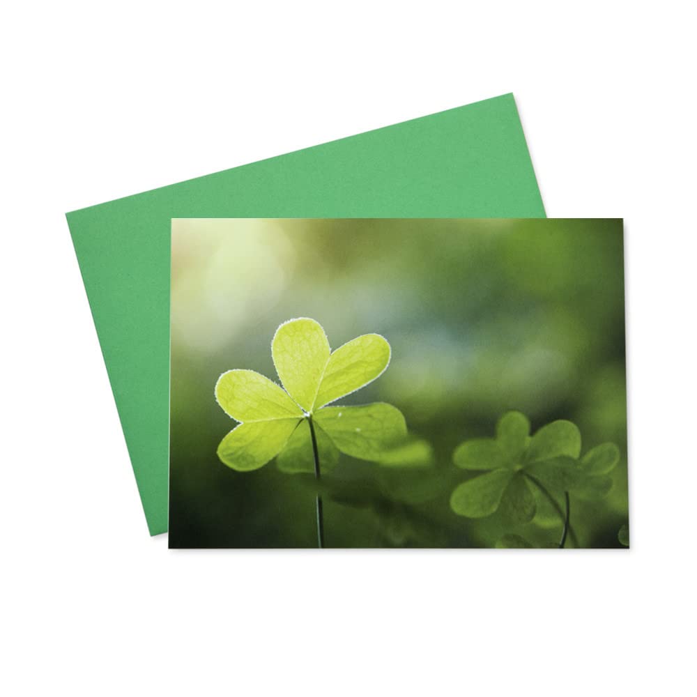 St. Patrick's Day Greeting Cards - 25 Shining Shamrock Signature Cards with 26 Green Envelopes, 5x7 Inch Bulk Pack (SS100) - Perfect for Irish-Themed Parties, Office Celebrations & Holiday Gifting