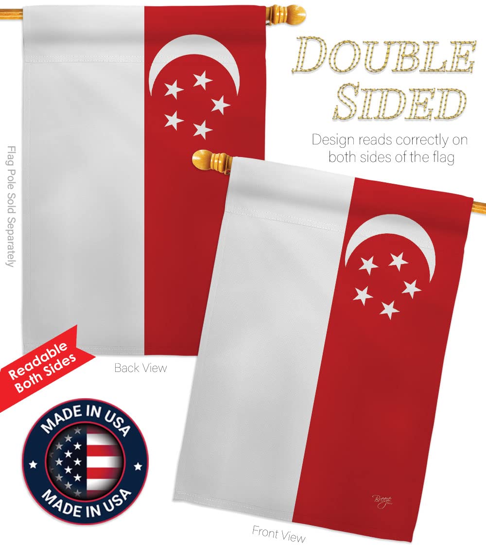 Singapore Nationality House Flag Set 28