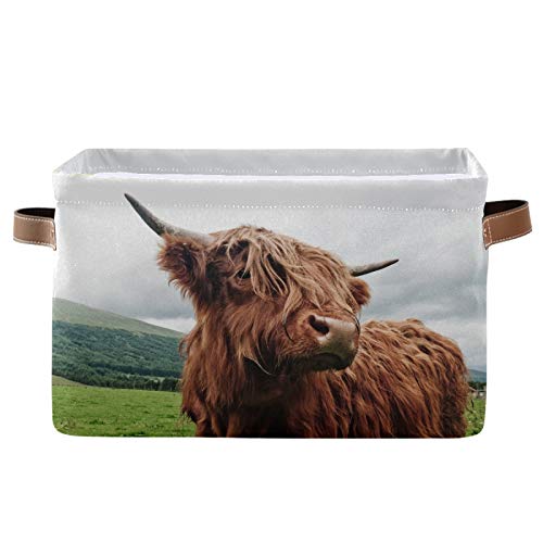 Highland Cow Collapsible Storage Basket with PU Handles - Waterproof Organizer for Nursery, Laundry & Home Decor (1 Pack) - Perfect for Kids' Room, Bathroom Storage & Farmhouse Style Decor
