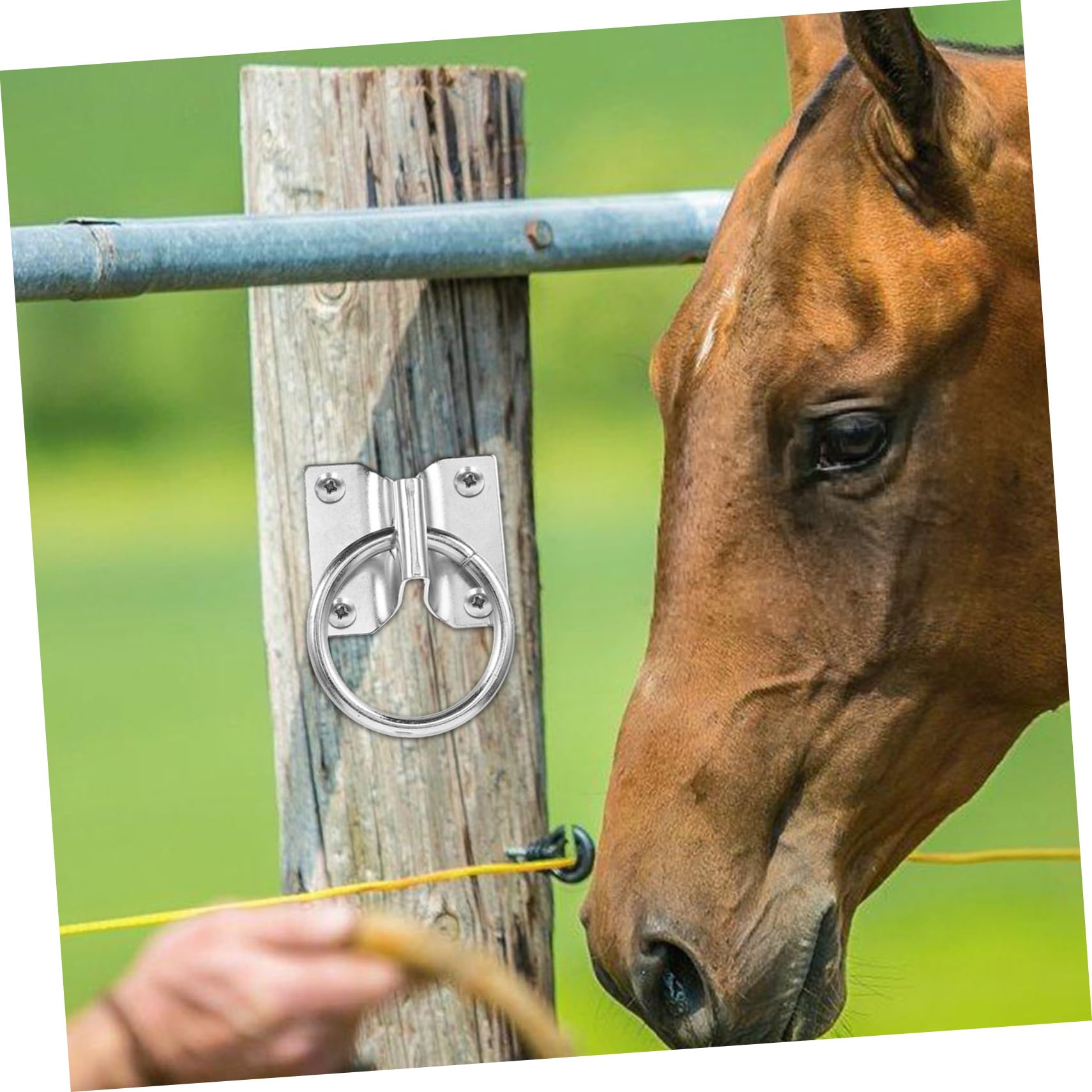 INOOMP 4 Pack Heavy Duty Horse Stall Tie Ring - Durable Buffering for Safe Horse Pulling & Tethering | Perfect for Barns, Stables & Trailering Scenes