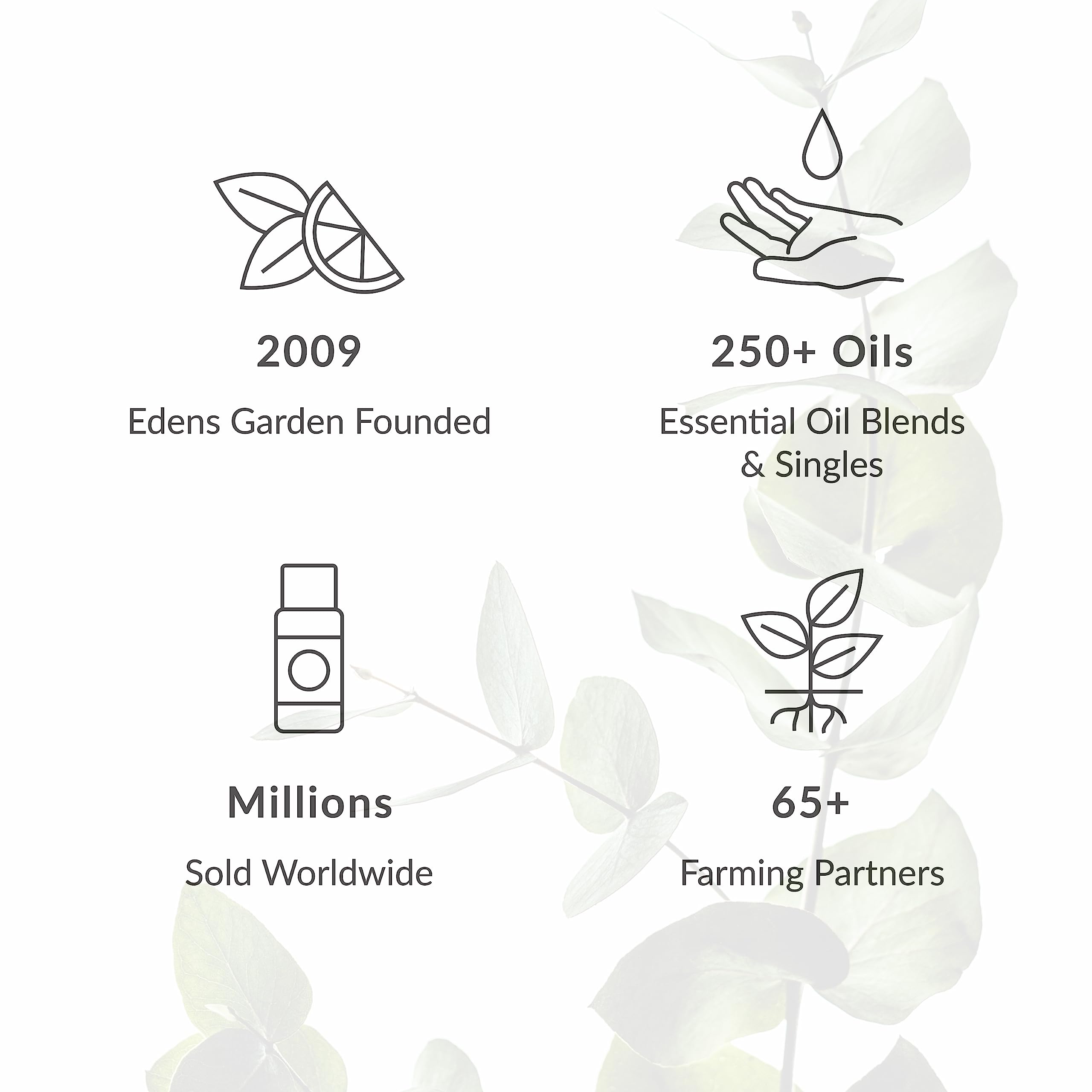 Edens Garden Niaouli Essential Oil - 100% Pure Therapeutic Grade, Undiluted Natural Aromatherapy Oil for Diffusers, Skin Care, Candles & Humidifiers - 30ml (1 fl oz) - Perfect for Relaxation, Stress Relief & Home Fragrance