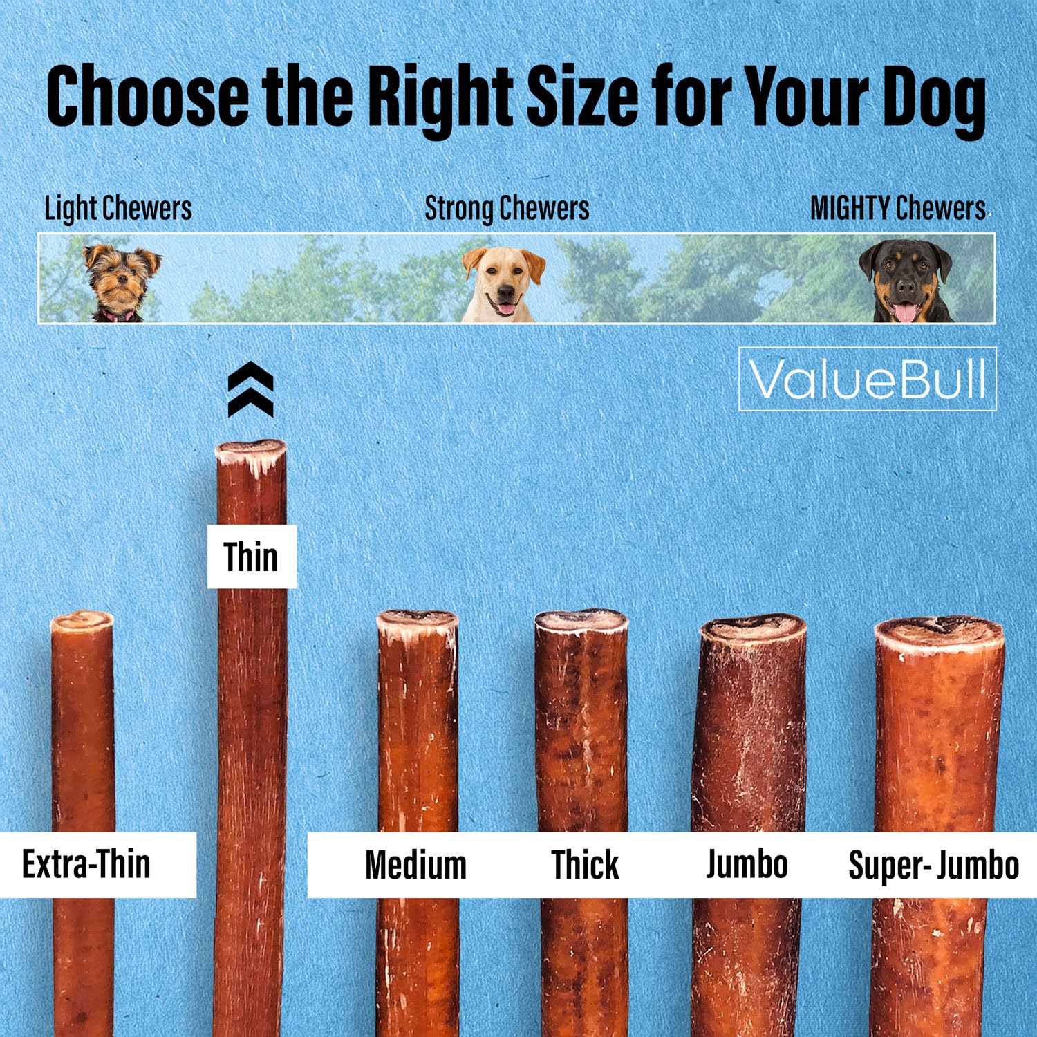 ValueBull Thin 6 Inch Bully Sticks for Small Dogs - 100 Count All Natural Beef Pizzle Dog Treats | 100% Single Ingredient Rawhide Alternative | Perfect for Training, Chewing & Dental Health