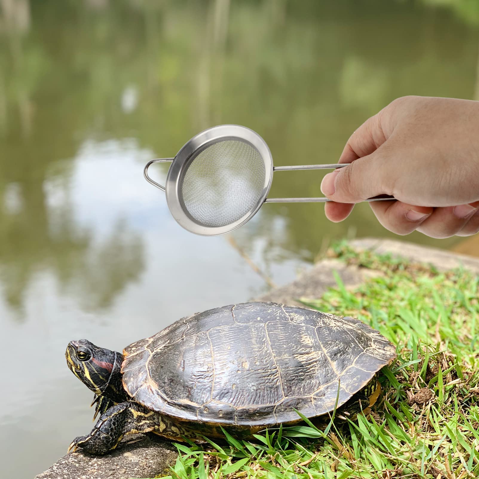 POPETPOP 2-Pack Stainless Steel Reptile Sand Shovel - Terrarium Cleaning Tool for Bearded Dragons, Reptisoil & Cat Litter - Durable Metal Scoop for Reptile & Small Animal Habitat Maintenance (Great for Cage Cleaning & Waste Removal)