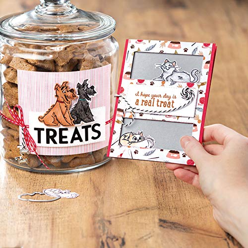 Lazy Cats & Happy Dogs Metal Cutting Dies and Clear Rubber Stamps Set - Card Making, Scrapbooking, Photo Album Decor - DIY Paper Crafting Stencil Dies for Friendship Cards & Memory Books