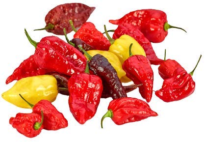 Sixth Day Snacks Ghost Pepper Xtra Hot Salsa - 16 oz Gluten Free, Vegan, Low Sodium Salsa with Fresh Ingredients | Perfect for Tacos, Nachos, and Spicy Food Lovers