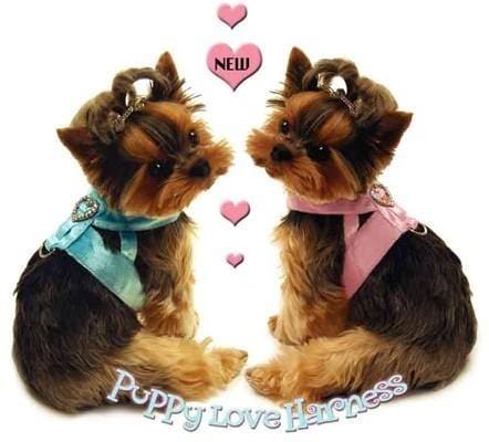 Sparkling Rhinestone Dog Harness for Small Dogs - Adjustable Pet Vest with Bling Collar - Perfect for Puppy Parties, Photo Shoots & Daily Walks